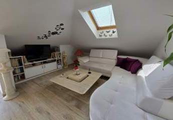 485275-Vorschaubild3