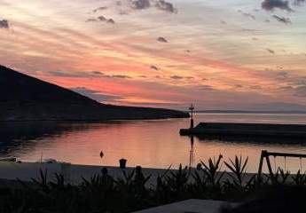 485866-Vorschaubild3