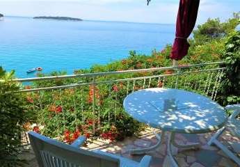 486100-Vorschaubild3