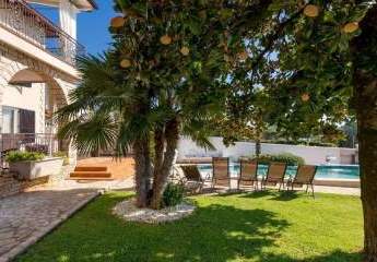 486235-Vorschaubild3