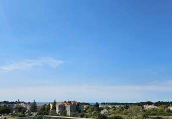 486236-Vorschaubild3