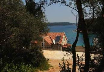 486241-Vorschaubild4