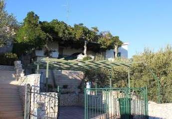 486248-Vorschaubild3