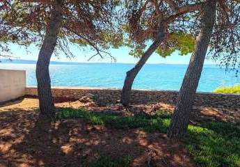 486360-Vorschaubild2