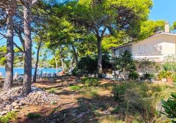 486360-Vorschaubild3