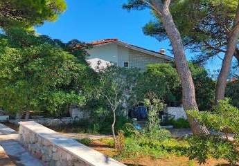 486360-Vorschaubild4