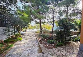 486370-Vorschaubild3