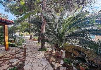 486370-Vorschaubild4