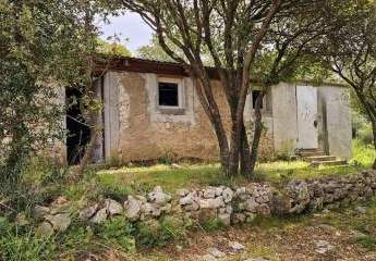 486385-Vorschaubild2