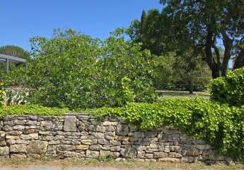 485728-Vorschaubild2