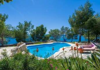 486453-Vorschaubild3