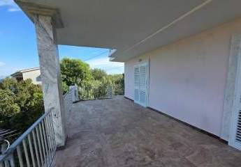 486475-Vorschaubild2