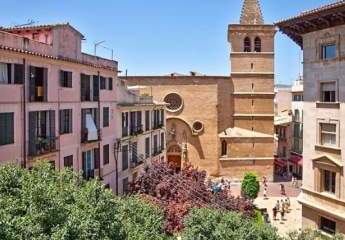 Mallorca Penthouse in der Altstadt von Palma - Projekt zu verkaufen