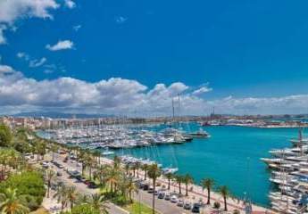 Mallorca beeindruckendes Meerblickapartment am Hafen von Palma zu verkaufen