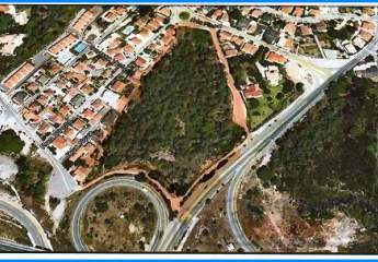 ***18.000 m² Kiefernwald an der A 5***