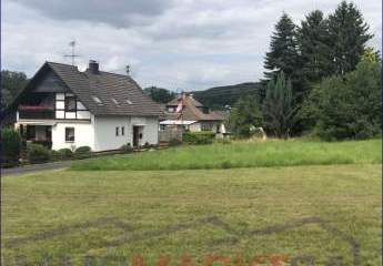 281733-Vorschaubild3