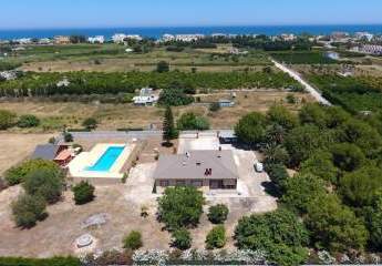 353772-Vorschaubild2