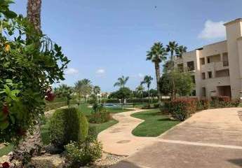 407018-Vorschaubild2