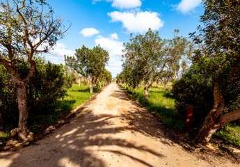 413509-Vorschaubild2