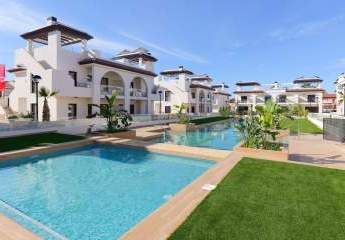 419135-Vorschaubild2