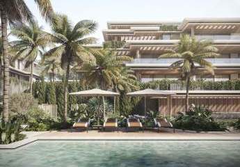 423379-Vorschaubild2