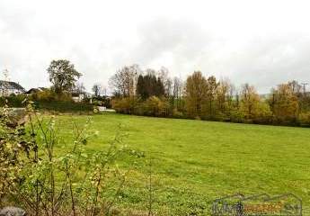 443383-Vorschaubild2