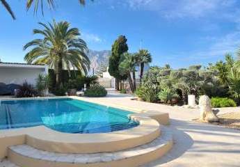 453633-Vorschaubild4