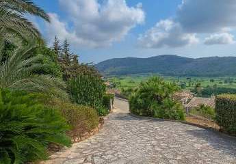 453637-Vorschaubild3