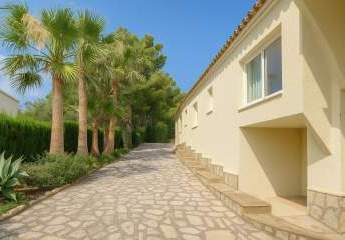 453637-Vorschaubild4