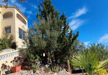 453638-Vorschaubild3