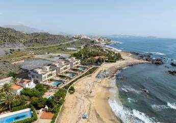 455981-Vorschaubild2