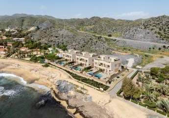 455981-Vorschaubild3