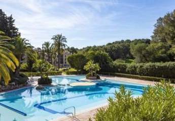 457146-Vorschaubild3