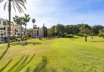 457146-Vorschaubild4