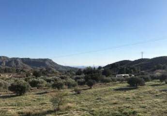 457155-Vorschaubild2