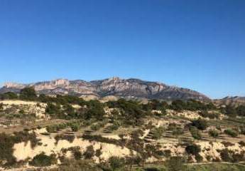 457155-Vorschaubild3