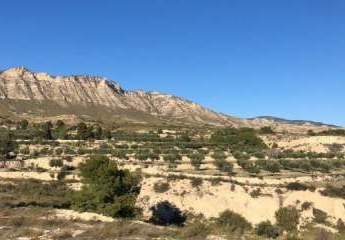 457155-Vorschaubild4