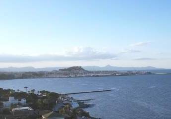 459618-Vorschaubild3