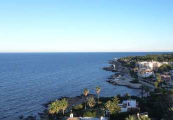 459618-Vorschaubild4