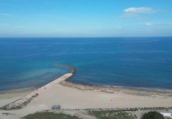 459623-Vorschaubild3