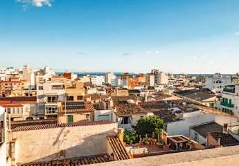 Grosszügiges, renoviertes 4 Zimmer Apartment in guter Gegend von Palma