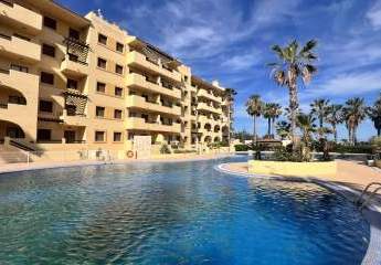 464708-Vorschaubild3