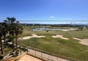 464708-Vorschaubild4