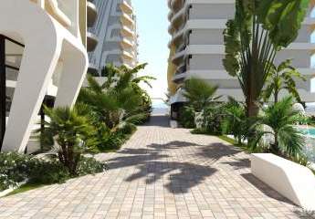 465116-Vorschaubild3