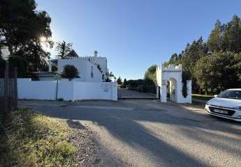 467127-Vorschaubild2