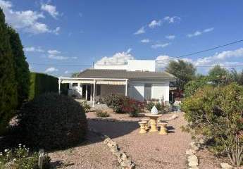 467129-Vorschaubild2