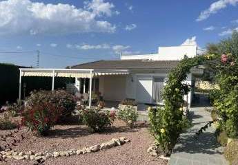 467129-Vorschaubild3