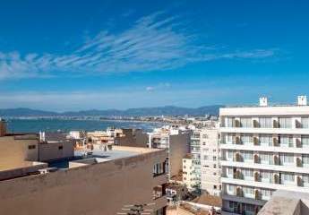 472943-Vorschaubild3