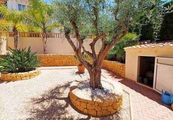 404152-Vorschaubild4