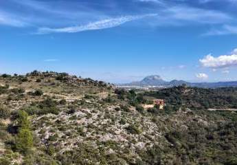 475793-Vorschaubild2